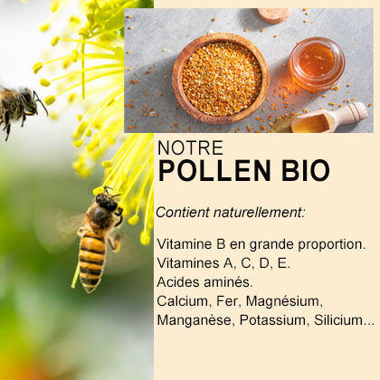 Bioself Pollen d'abeille BIO, pollen de fleurs (1 kg) : :  Épicerie