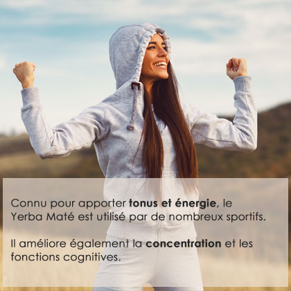TONUS ET ENERGIE  Connu pour apporter tonus et énergie, le Yerba Maté est utilisé par de nombreux sportifs. Il améliore également la concentration et les fonctions cognitives.